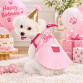 Birthday Party Pet Set