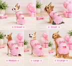 Birthday Party Pet Set