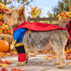 Superhero Cape Pet Costume