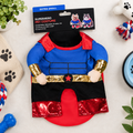 Superhero Cape Pet Costume